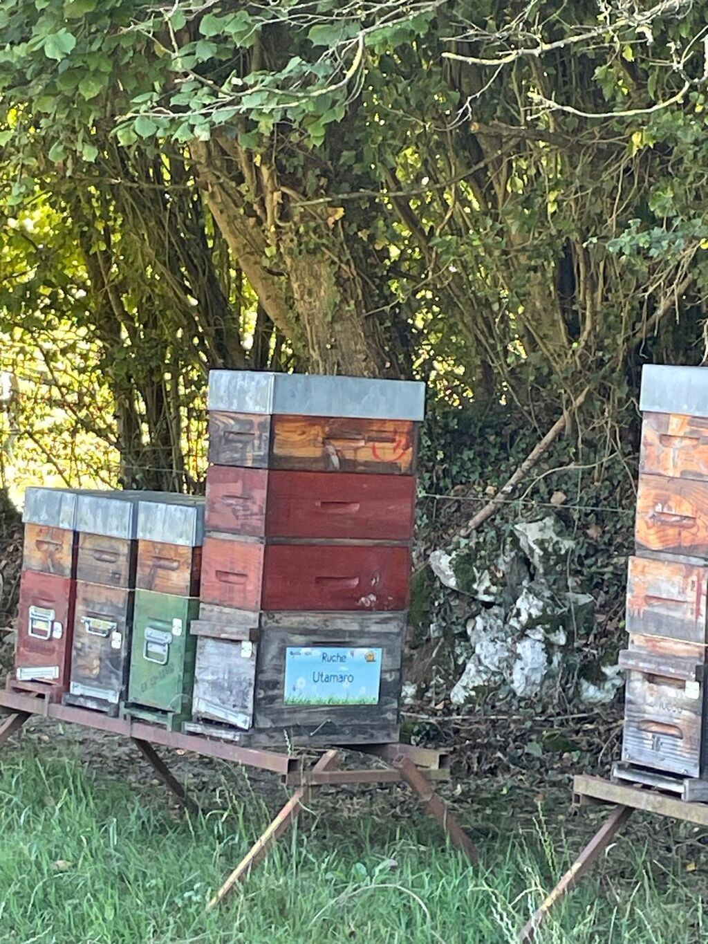 La ruche Utamaro