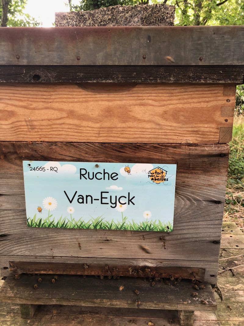 La ruche Van-Eyck