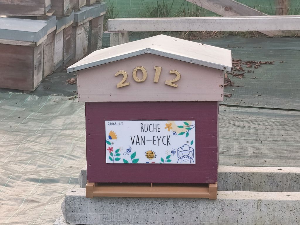 La ruche Van-Eyck