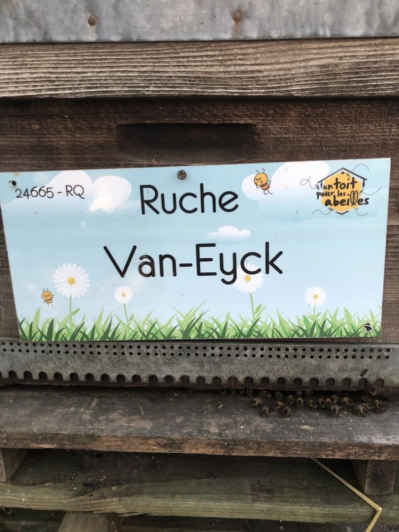 La ruche Van-Eyck