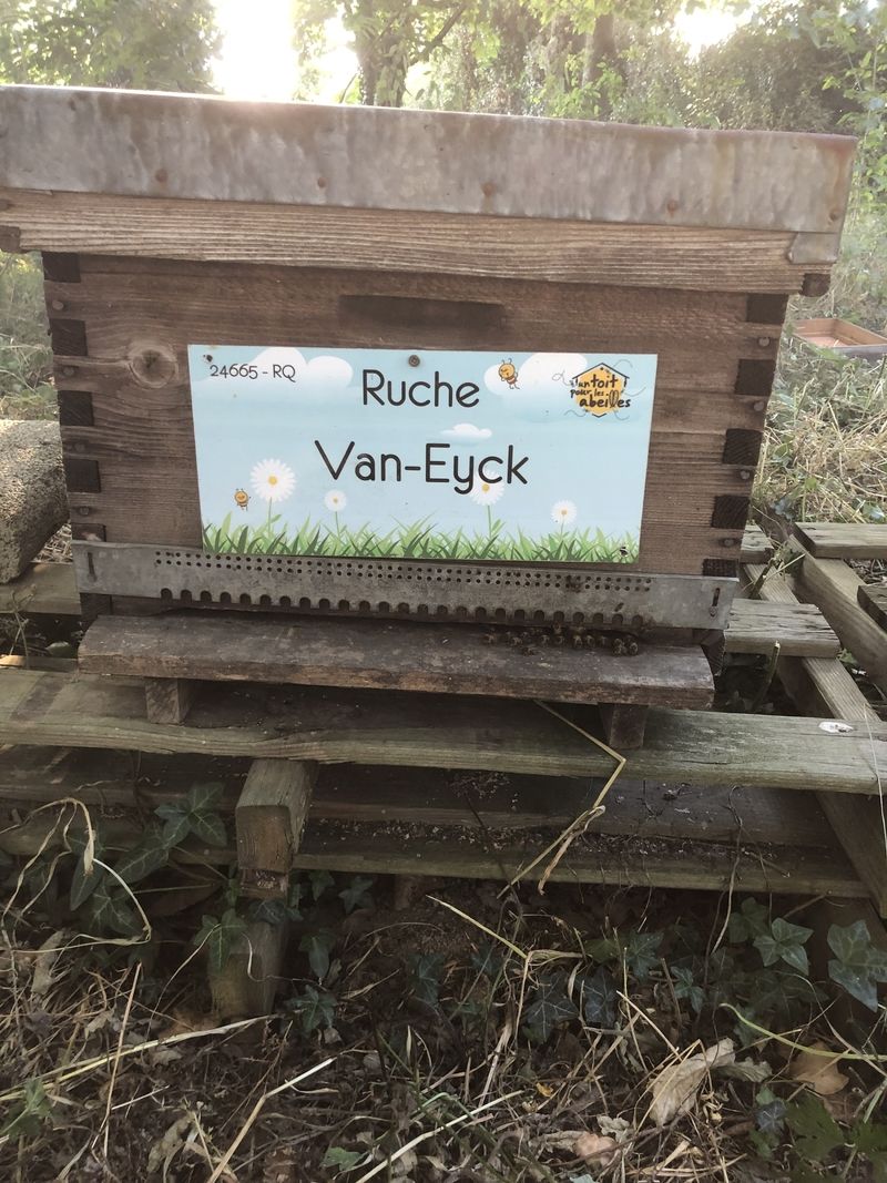 La ruche Van-Eyck