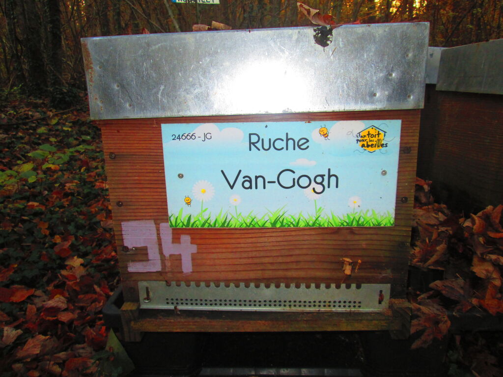 La ruche Van-Gogh