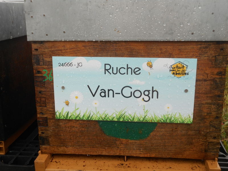 La ruche