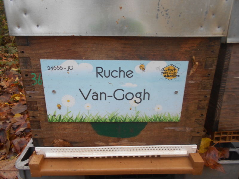 La ruche Van-Gogh