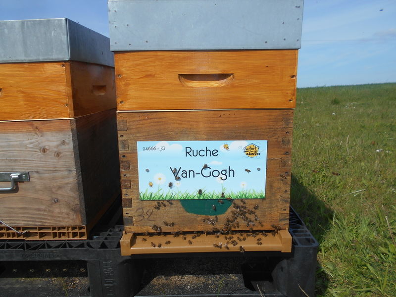 La ruche