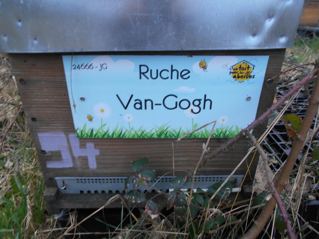 La ruche Van-Gogh