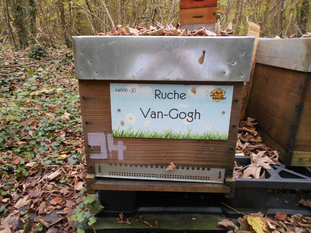 La ruche Van-Gogh