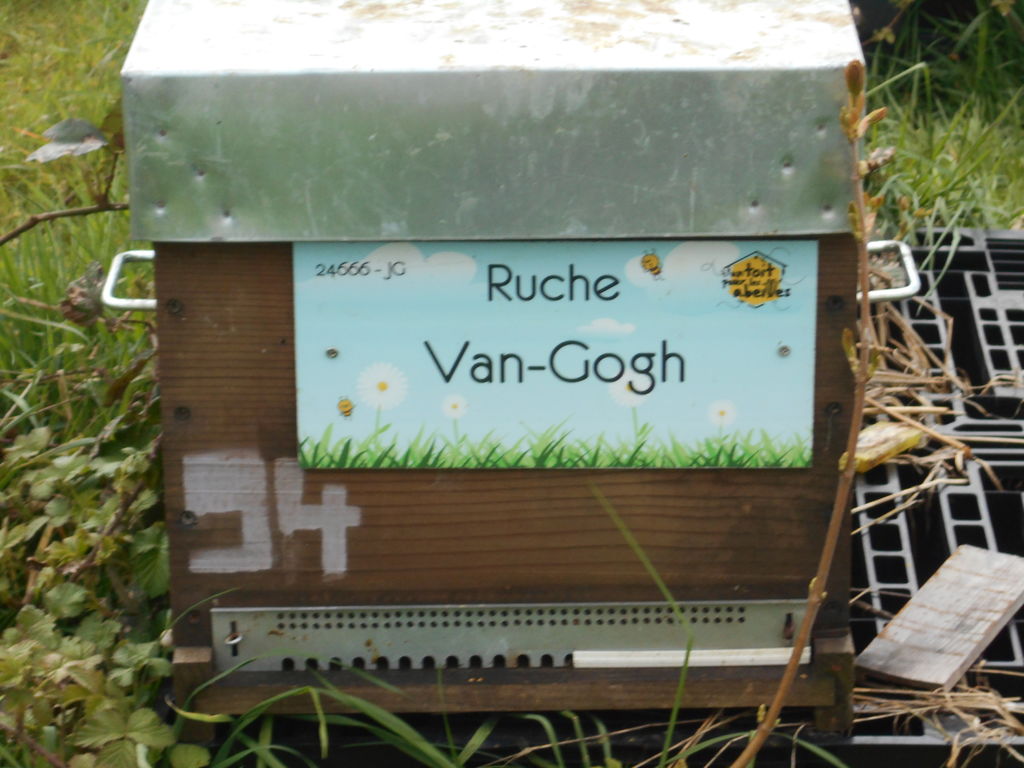La ruche Van-Gogh