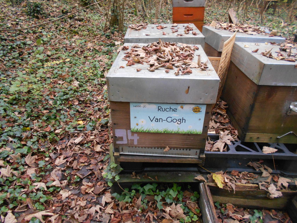 La ruche Van-Gogh