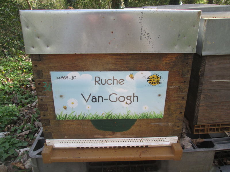 La ruche Van-Gogh