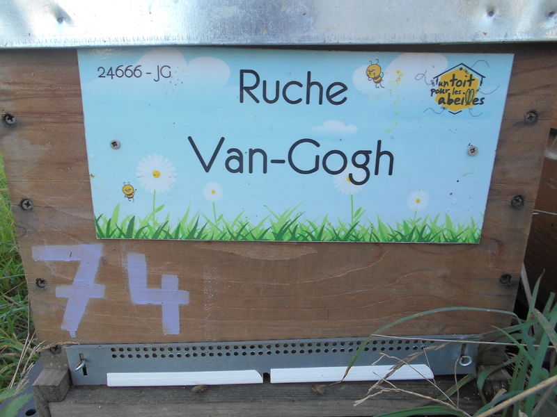 La ruche Van-Gogh