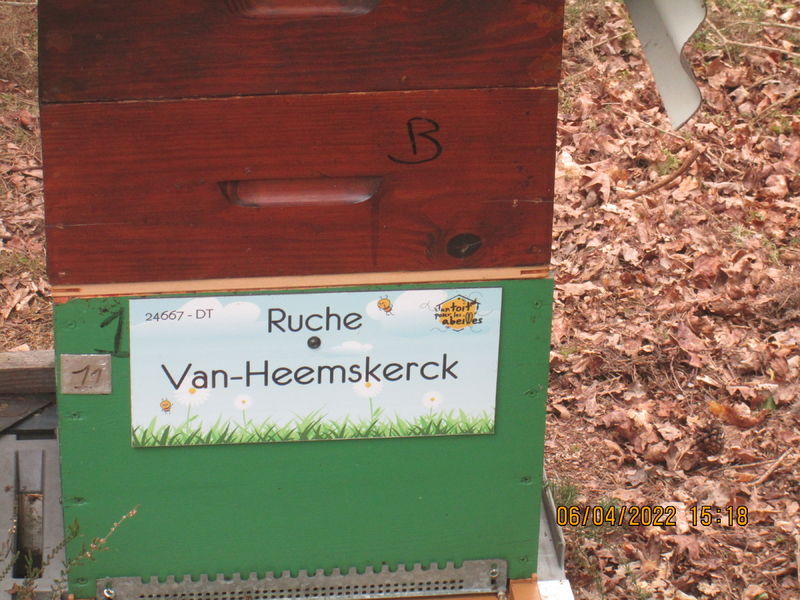 La ruche Van-Heemskerck 