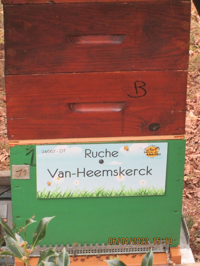 La ruche Van-Heemskerck 