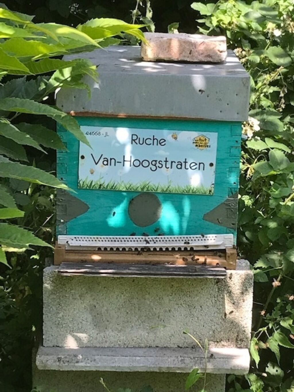 La ruche Van-Hoogstraten