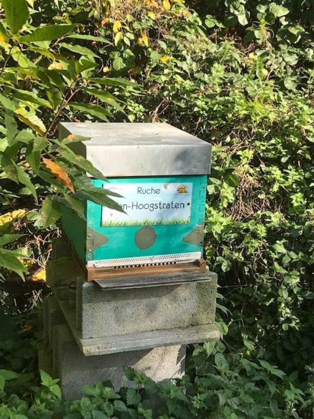 La ruche Van-Hoogstraten