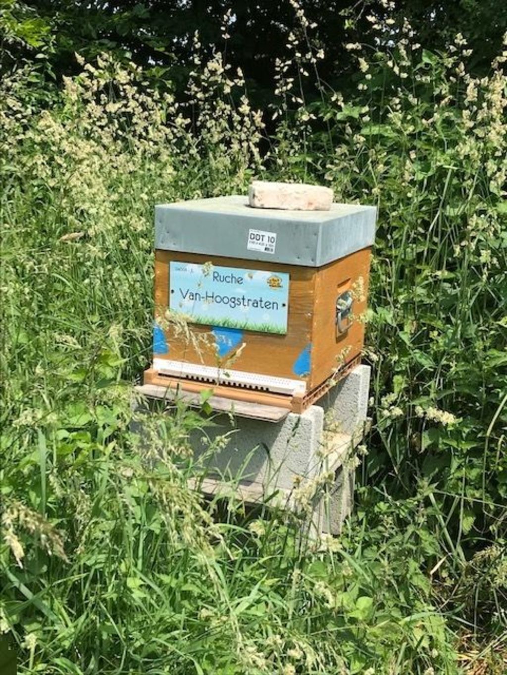 La ruche Van-Hoogstraten