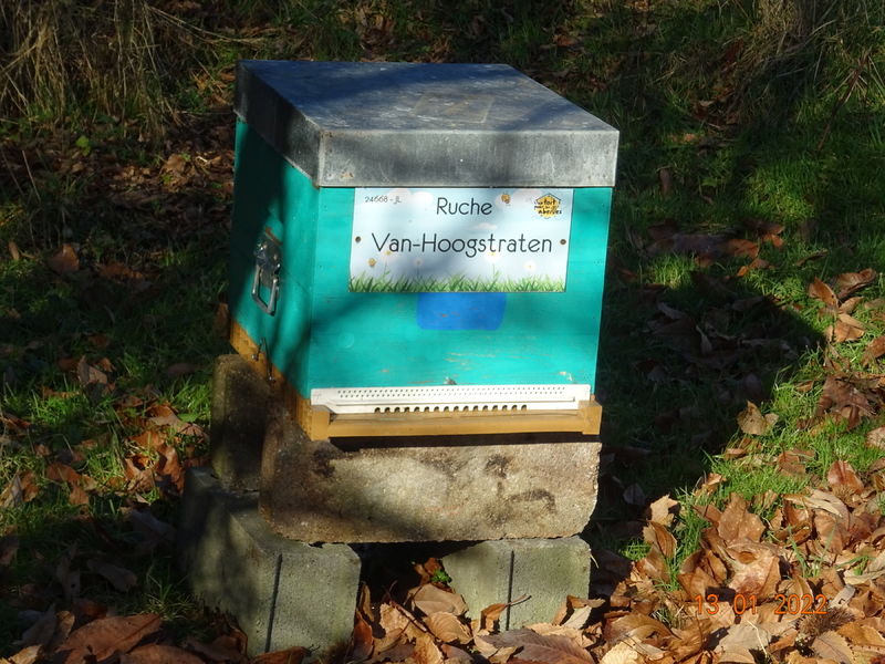 La ruche Van-Hoogstraten
