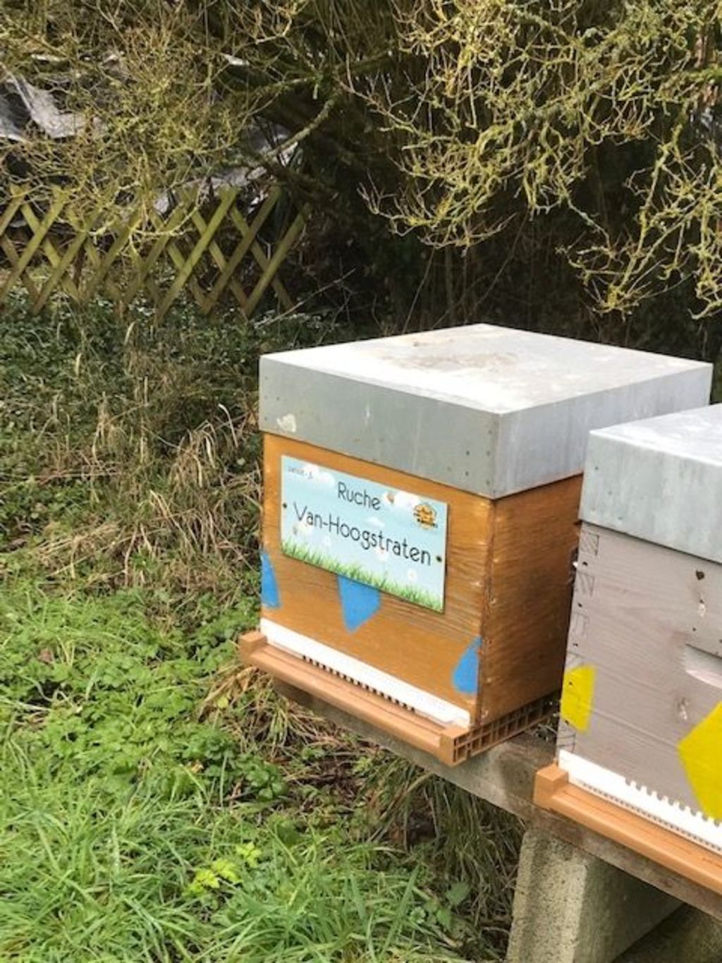 La ruche Van-Hoogstraten