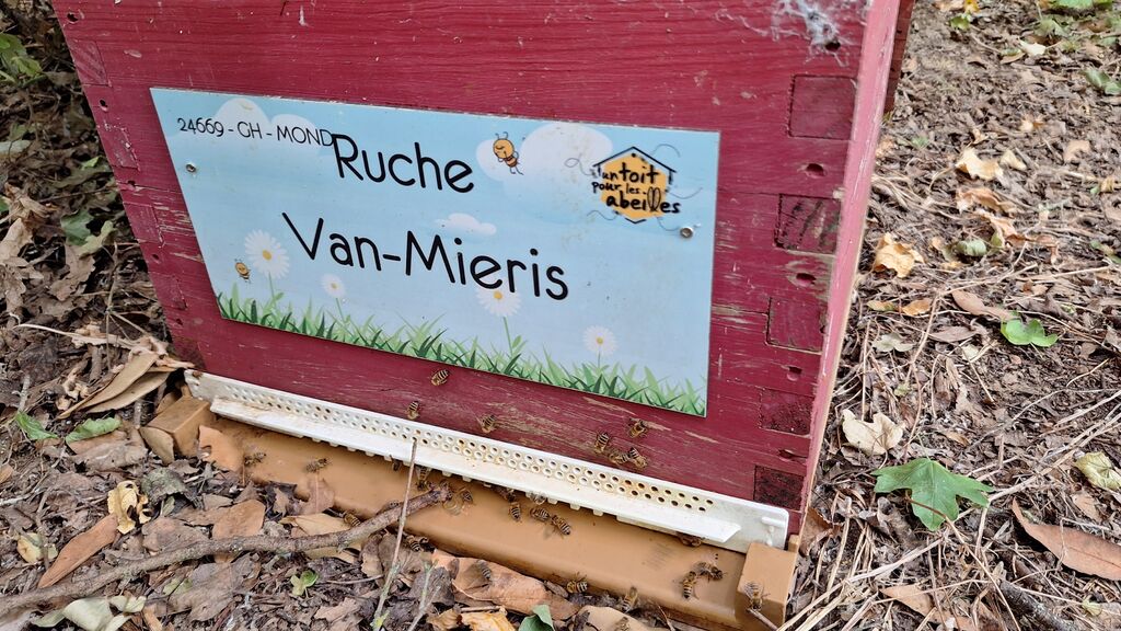 La ruche Van-Mieris