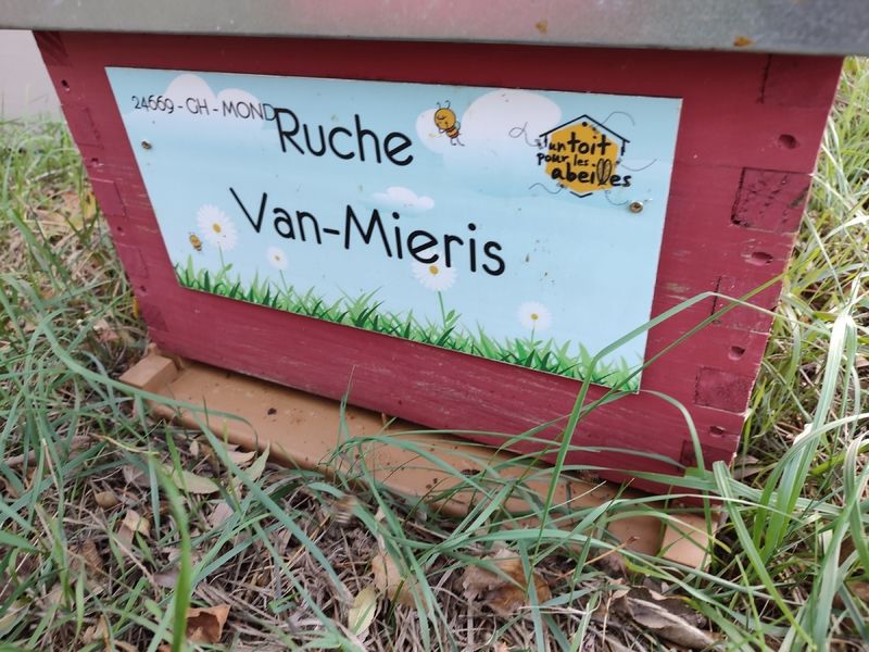La ruche Van-Mieris