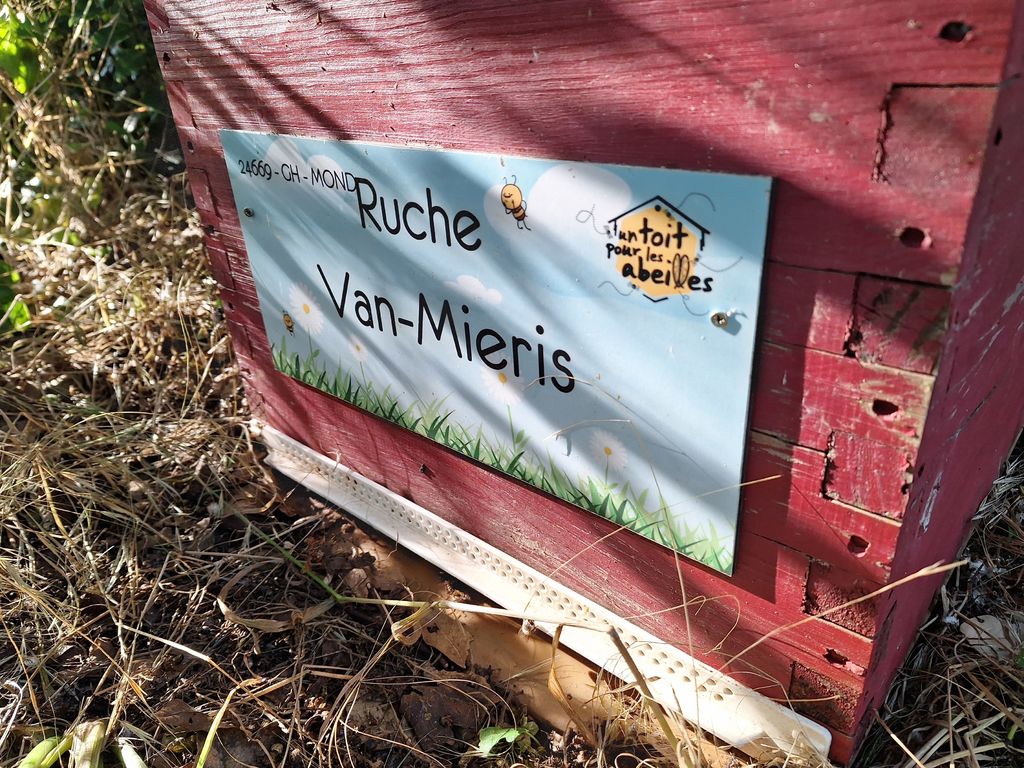 La ruche Van-Mieris