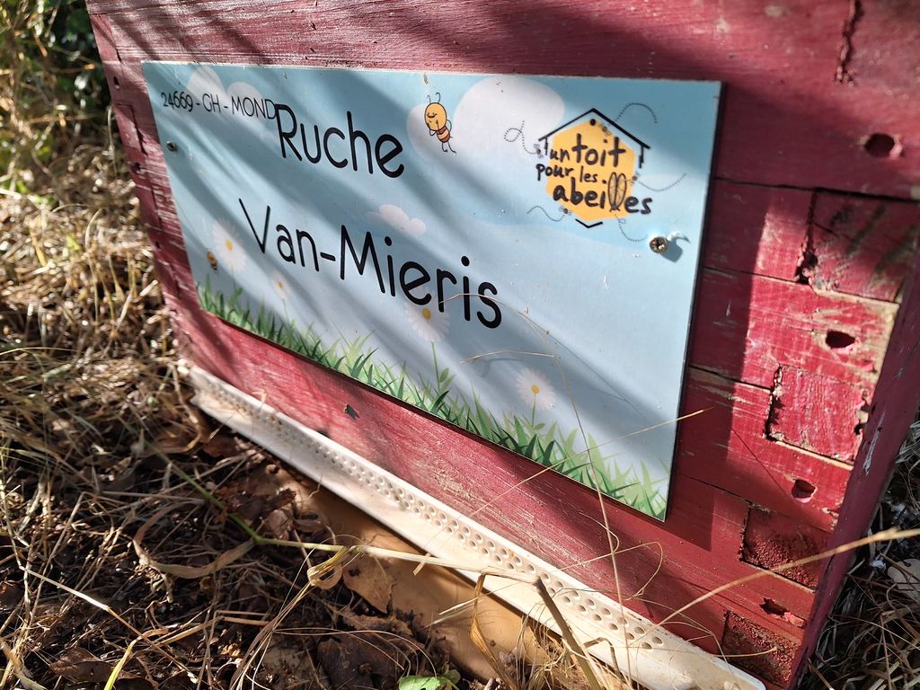 La ruche Van-Mieris