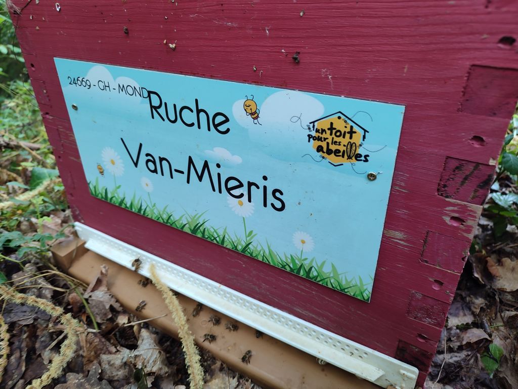 La ruche Van-Mieris