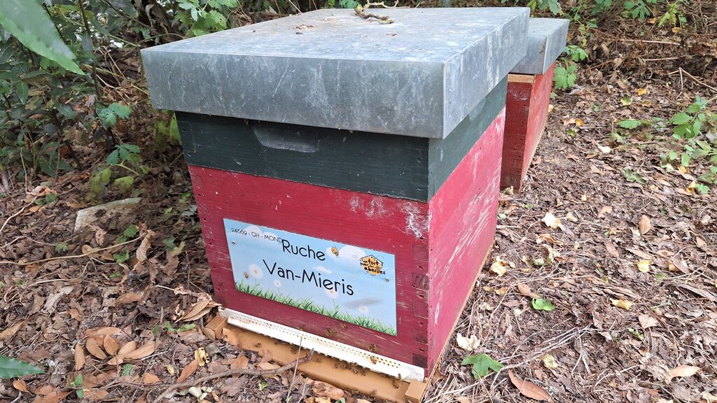 La ruche Van-Mieris