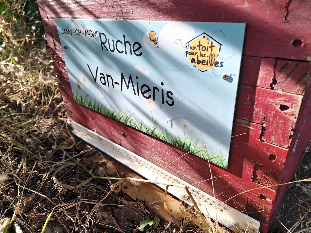 La ruche Van-Mieris