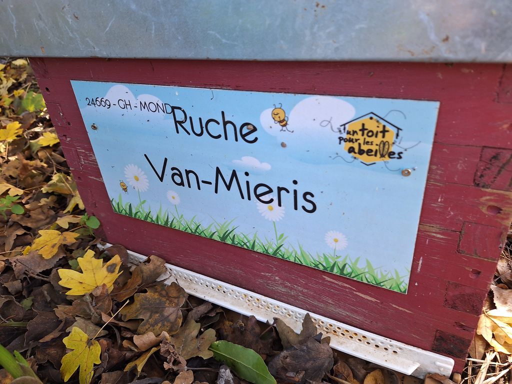 La ruche Van-Mieris