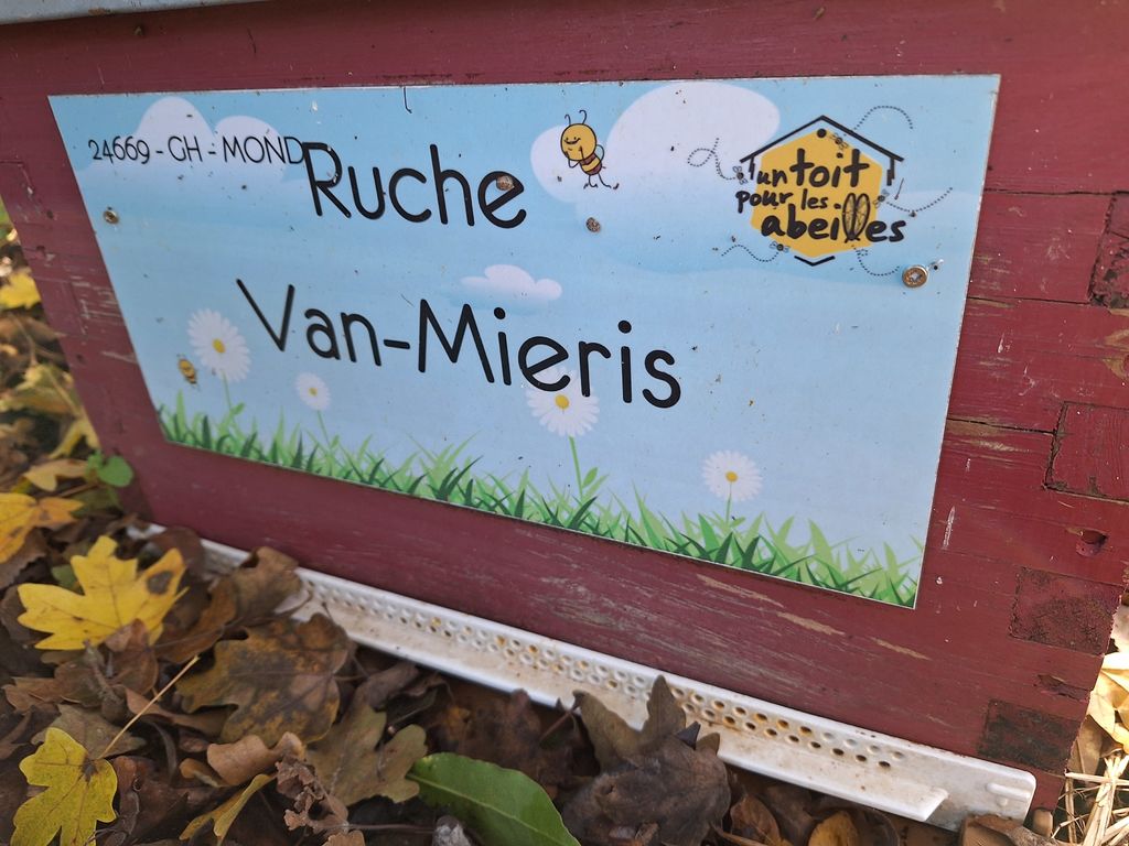 La ruche Van-Mieris