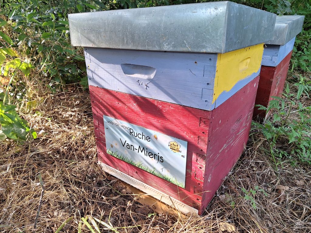 La ruche Van-Mieris