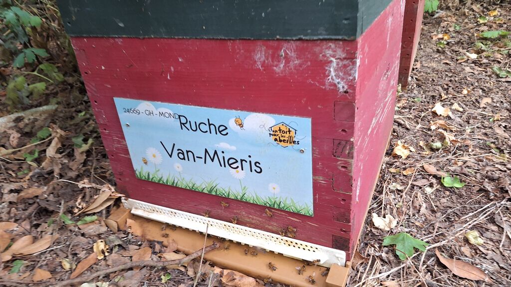 La ruche Van-Mieris