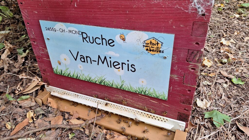 La ruche Van-Mieris