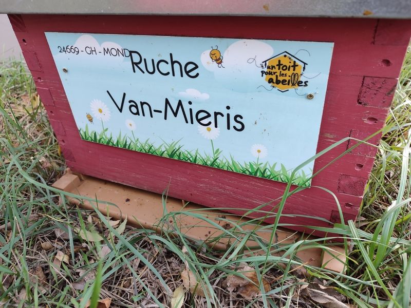 La ruche Van-Mieris