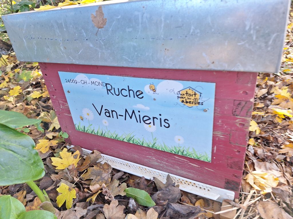 La ruche Van-Mieris