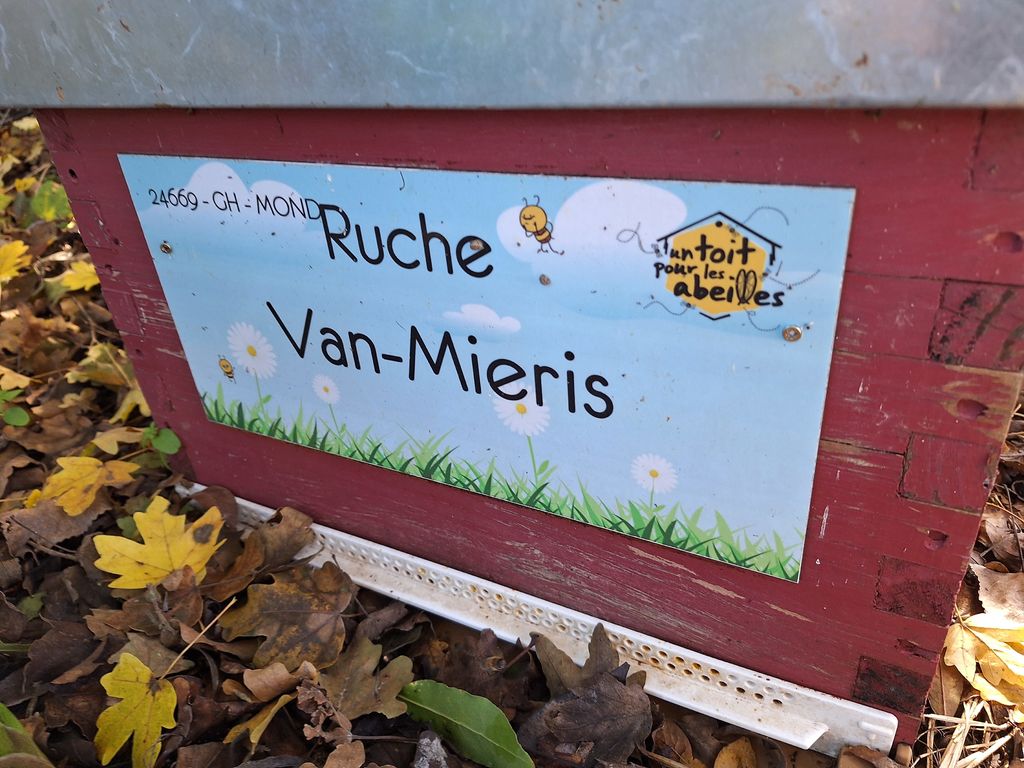 La ruche Van-Mieris