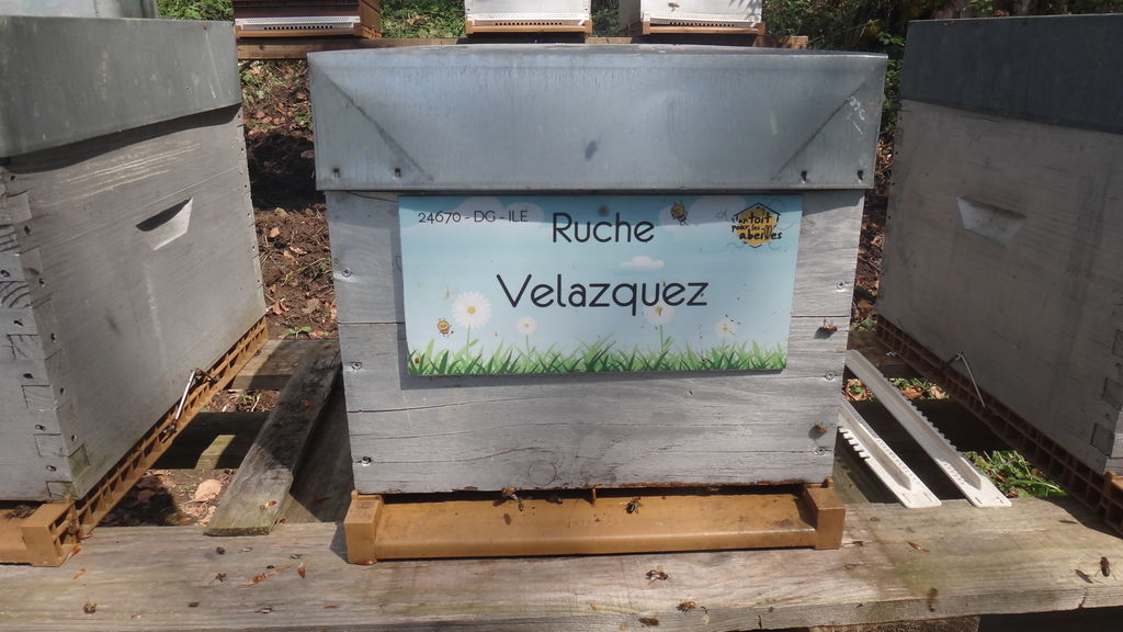 La ruche