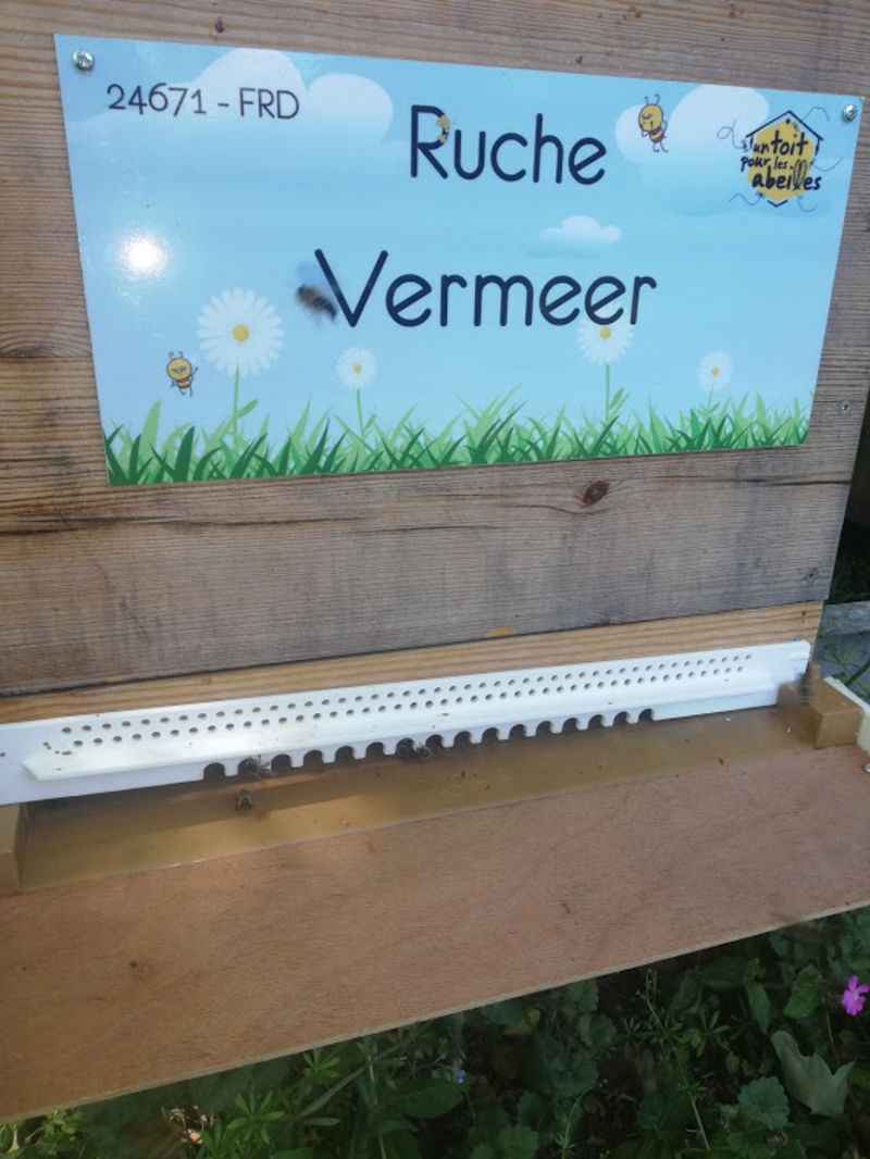 La ruche
