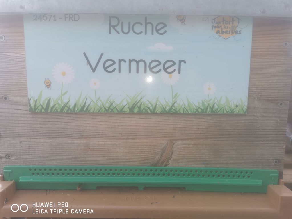 La ruche Vermeer 
