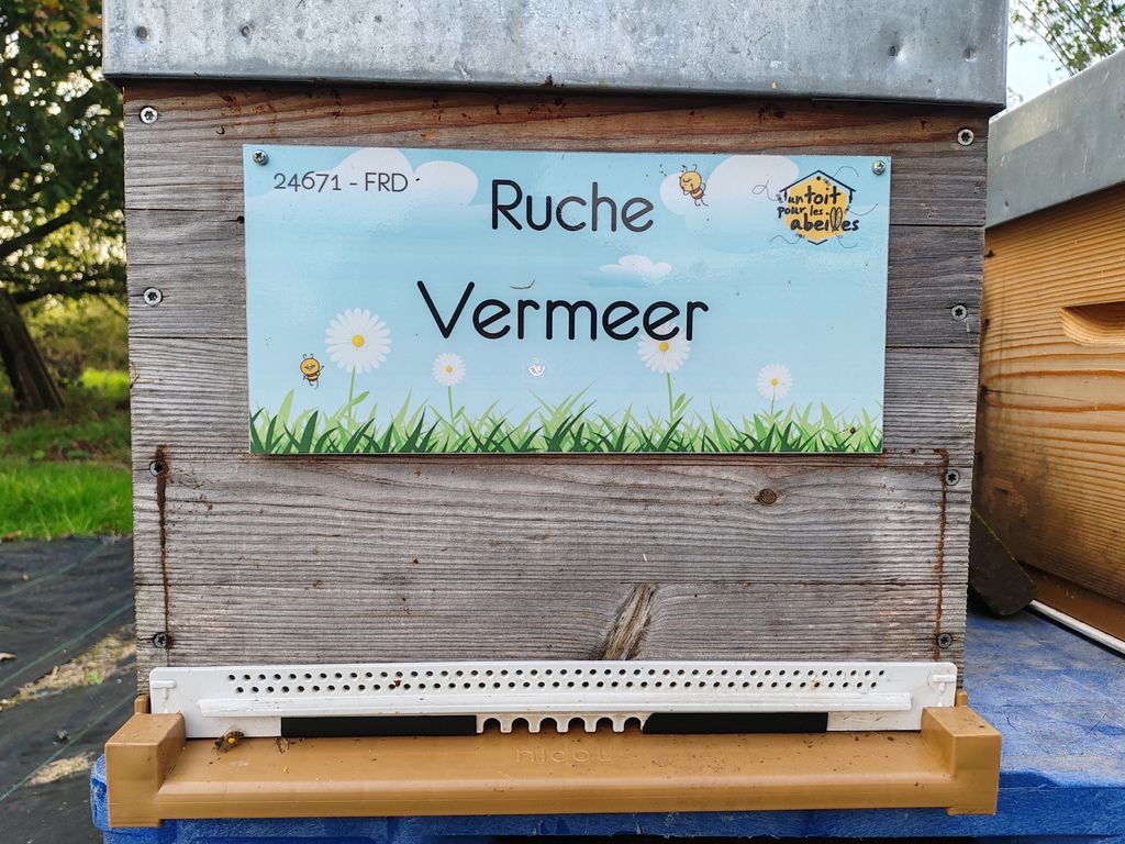 La ruche Vermeer 