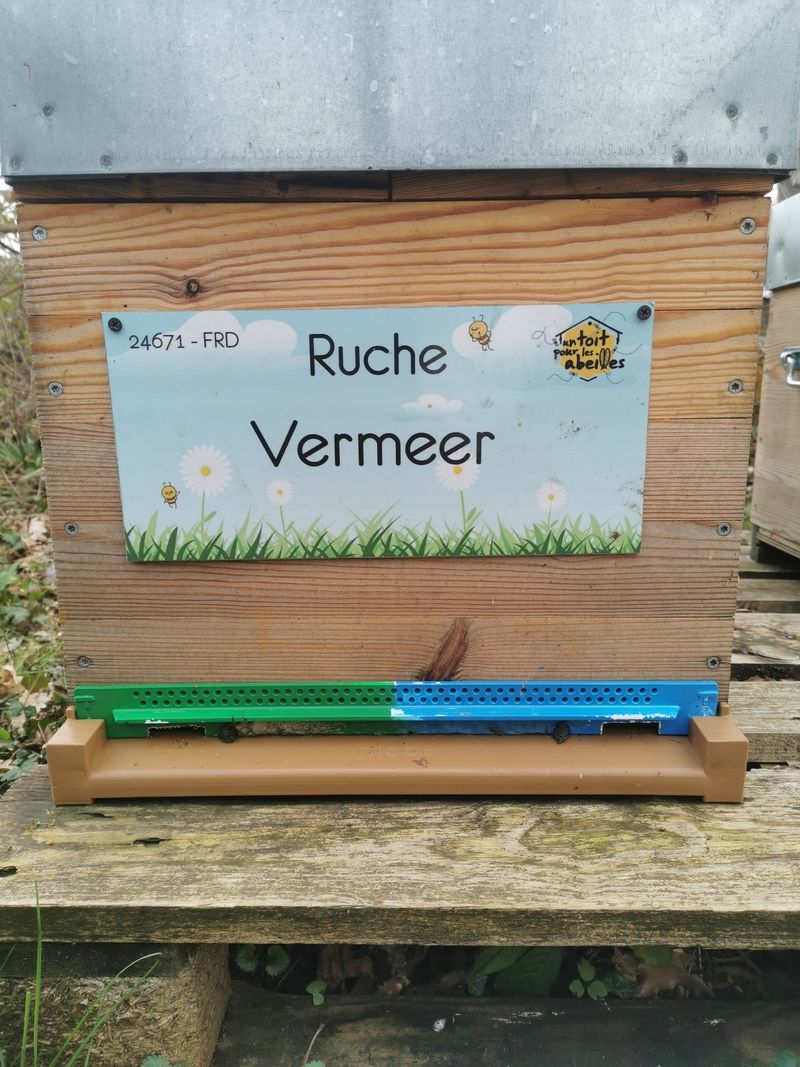 La ruche