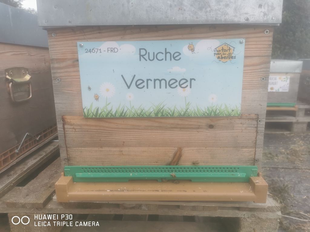 La ruche Vermeer 