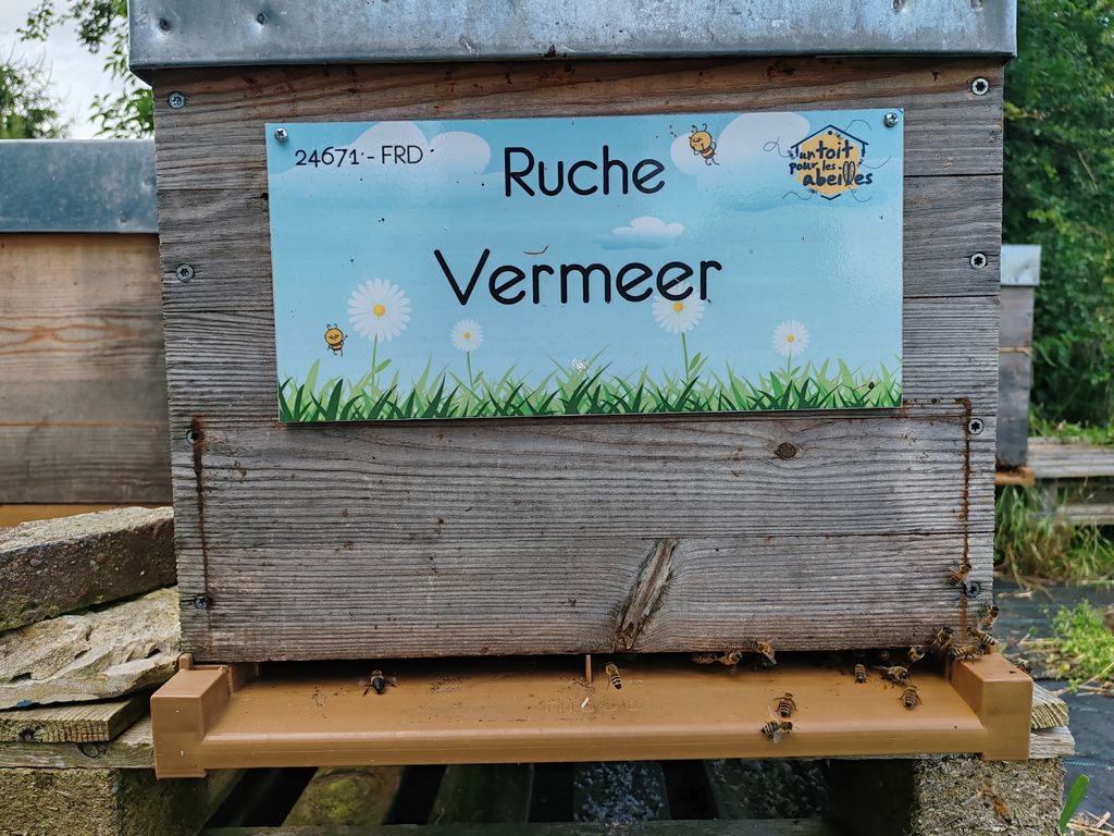 La ruche Vermeer 