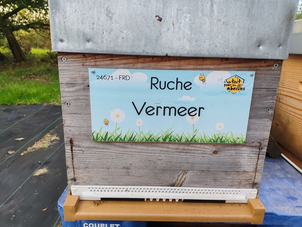La ruche Vermeer 