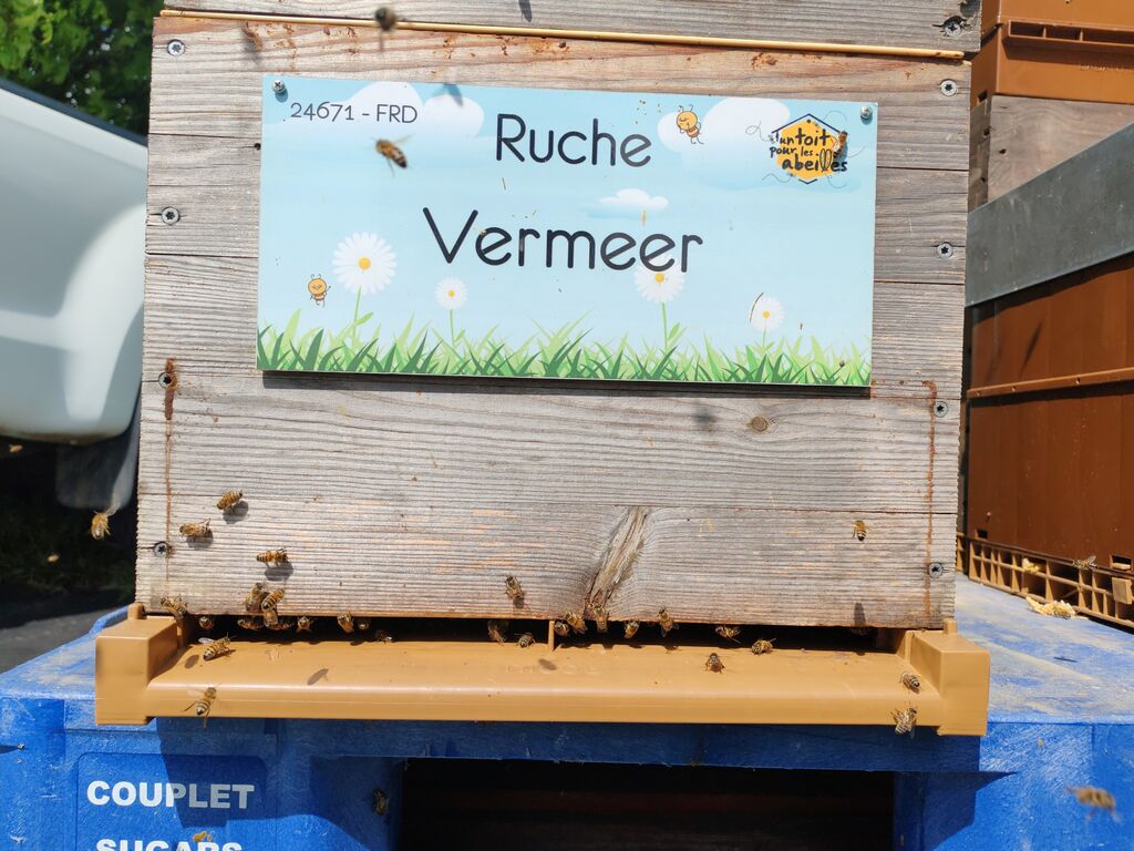 La ruche Vermeer 