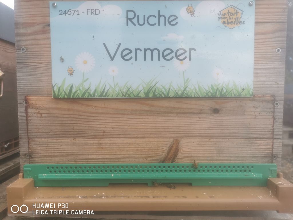 La ruche Vermeer 