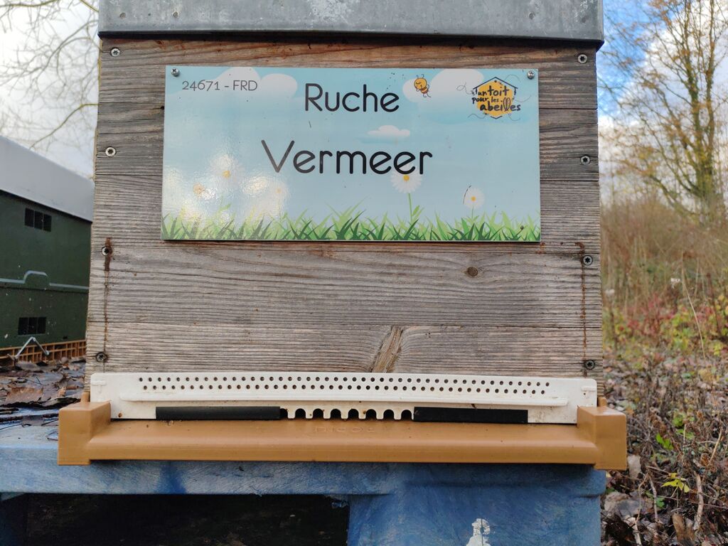 La ruche Vermeer 