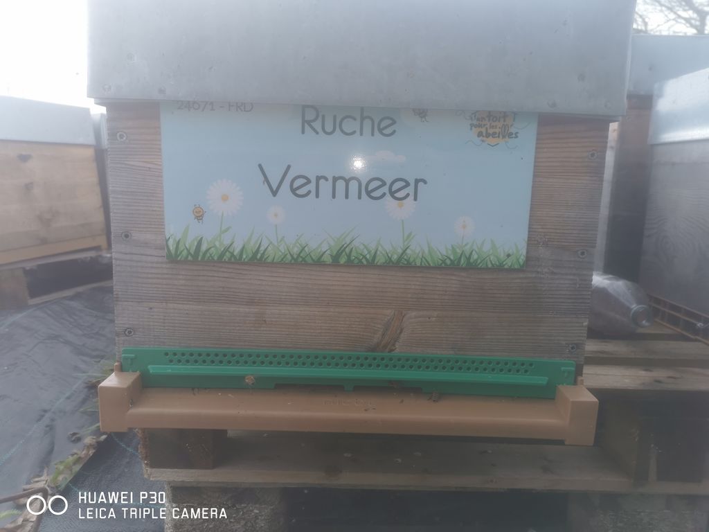 La ruche Vermeer 