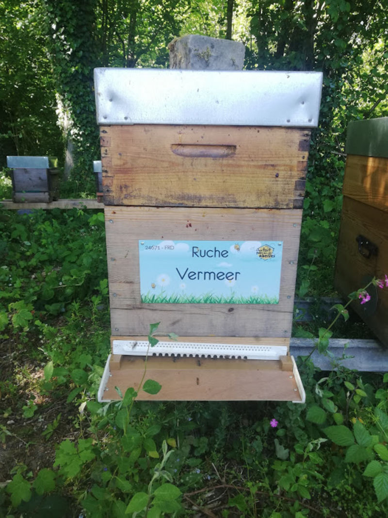 La ruche Vermeer 